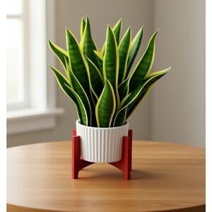 3 individual POP UP  (Fresh Cut Brand) greeting cards PLANTS